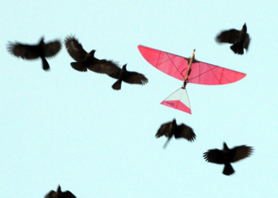 Flapping wing unmanned vehicle