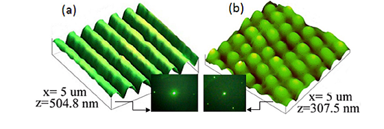 Atomic force microscope image of corrugated sub-micron metal grating