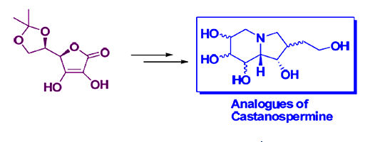 Analogues of Castanospermine